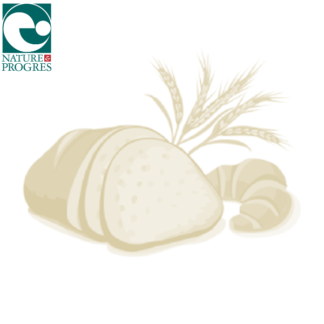 → Pain du moment - Poivre / Curcuma / Graines de tournesol - Miche 1kg