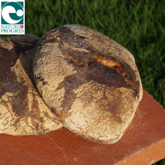 Pain de Campagne - Miche 550g