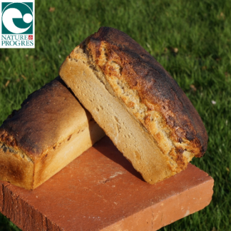 Pain de Campagne - Moulé 1kg