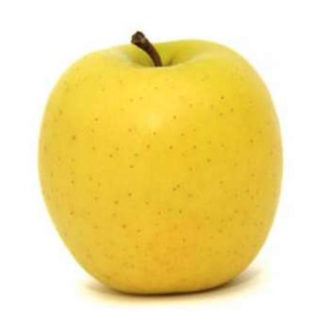 Pommes Délis d'or (Prix kg)