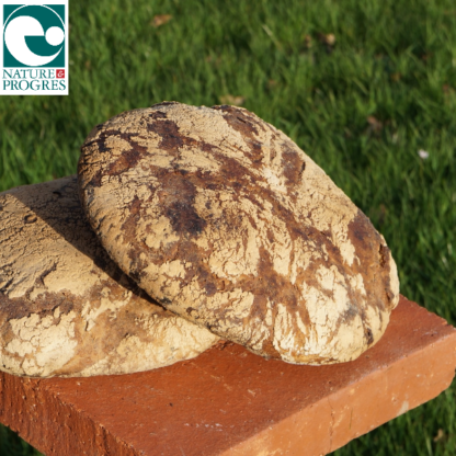 Pain aux Graines - Chanvre / Sésame / Tournesol - Miche 1kg