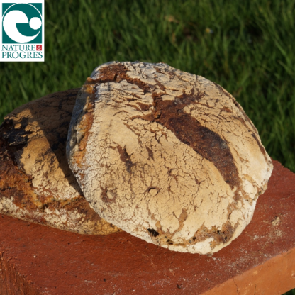 Pain aux Graines - Chanvre / Sésame / Tournesol - Miche 550g
