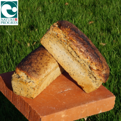 Pain aux Graines - Chanvre / Sésame / Tournesol - Moulé 1kg