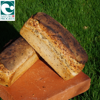Pain aux Graines - Lin / Tournesol - Moulé 1kg