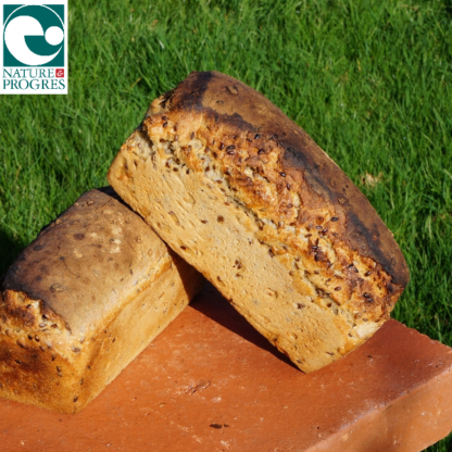 Pain aux Graines - Lin / Tournesol - Moulé 550g