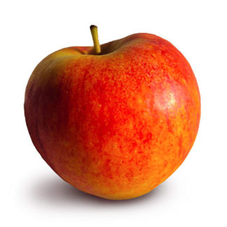 Pommes Pilot (Prix kg)