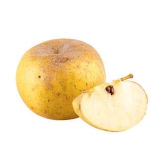 Pommes Reinette Clochard (Prix kg)