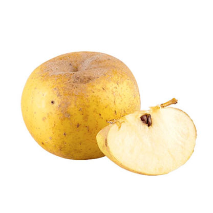 Pommes Reinette Clochard (Prix kg)